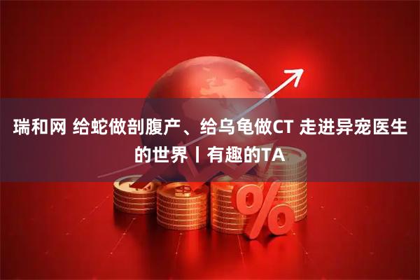 瑞和网 给蛇做剖腹产、给乌龟做CT 走进异宠医生的世界丨有趣的TA