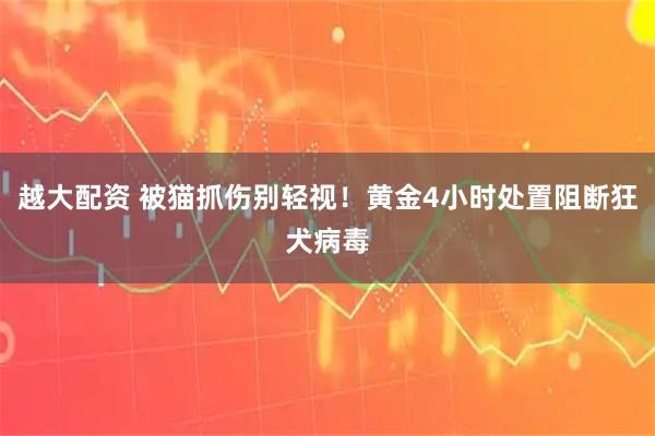 越大配资 被猫抓伤别轻视！黄金4小时处置阻断狂犬病毒