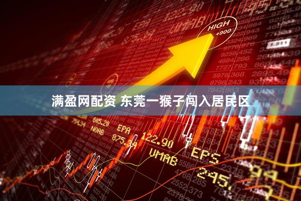 满盈网配资 东莞一猴子闯入居民区
