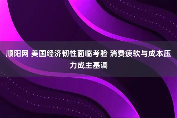 顺阳网 美国经济韧性面临考验 消费疲软与成本压力成主基调