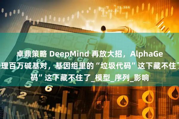 卓鼎策略 DeepMind 再放大招，AlphaGenome 能一次性处理百万碱基对，基因组里的“垃圾代码”这下藏不住了_模型_序列_影响