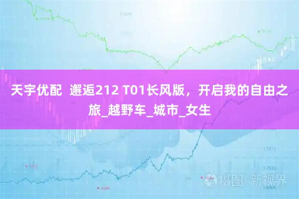 天宇优配  邂逅212 T01长风版，开启我的自由之旅_越野车_城市_女生